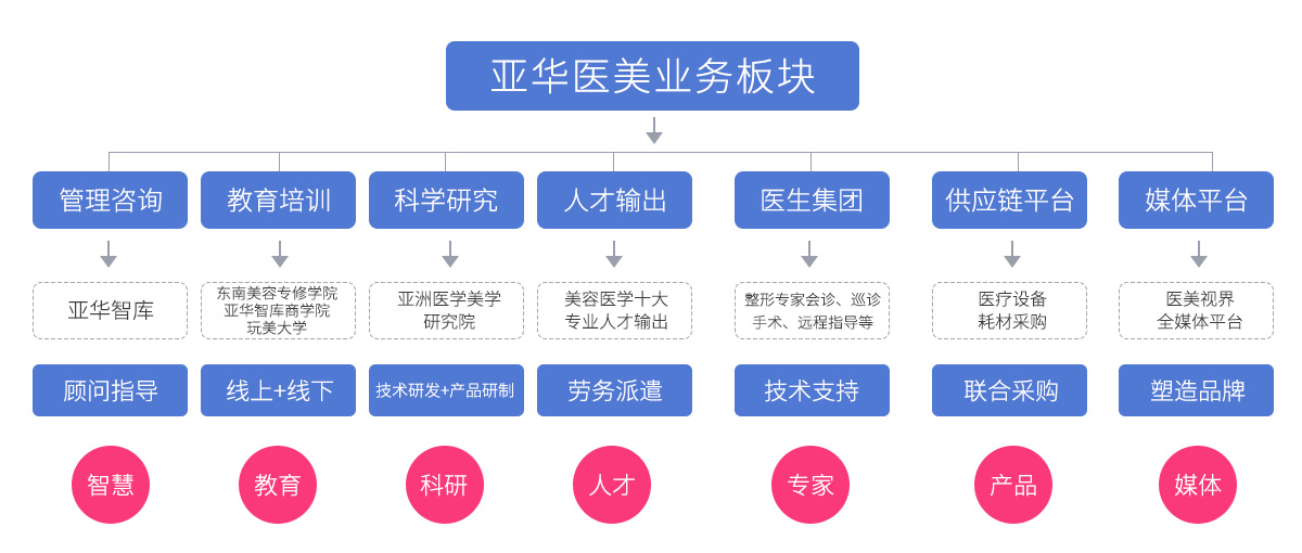 亞華醫(yī)美業(yè)務(wù)結(jié)構(gòu)